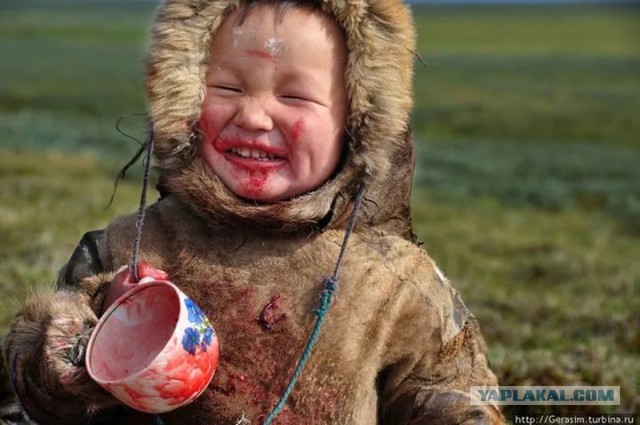 Шах и мат, веганы! Действительно ли нужно перестать есть мясо? 10 опровергнутых законов вегетарианства