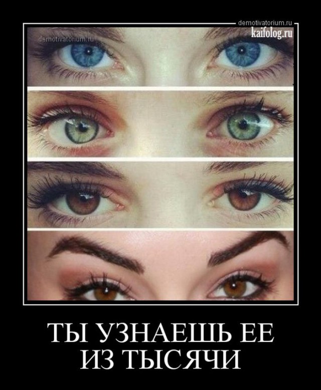 Картинки в черных рамках с подписями