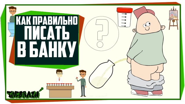 Школьник из Нижнего Тагила запустил свое дело по уборке за собаками "Какакет"