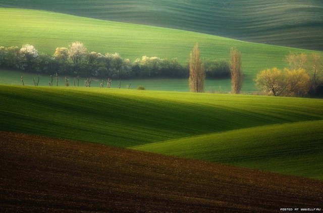 Фото интересные и не только