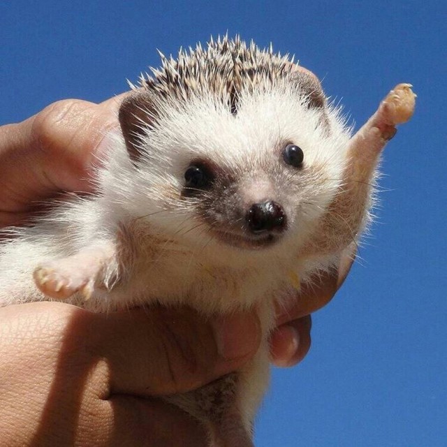 Подборка интересных и веселых картинок