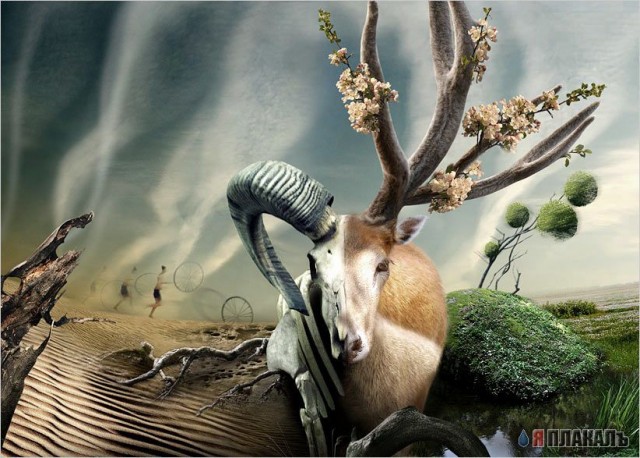 Фентели от Stanislav Jagelo