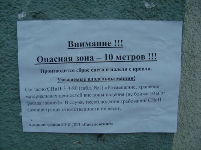 100 картинок для поднятия настроения!