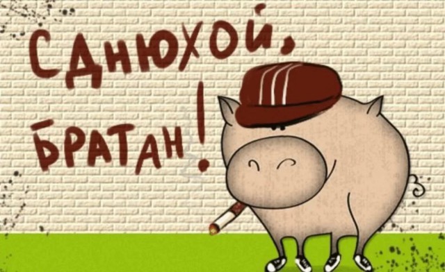 Спасибо, дорогой Спортмастер.
