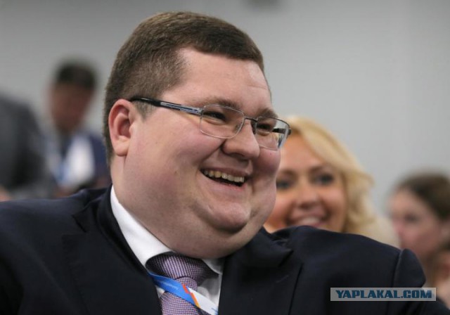 Украденная чайка