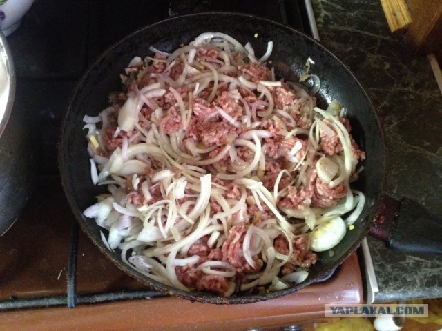 нищебродская кашка, музыкальная