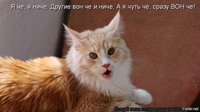 "Вор в законе" Осинцев: розовые сопли, правозащитники, Страдсбургский суд