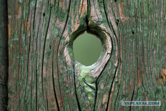 Запросы девушек за 30 нереальны