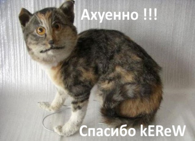 Немного картинок на сегодня