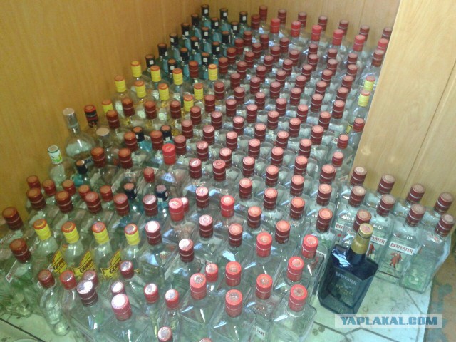 Профессор из Канады 10 лет пьянствовал без перерыва по всему миру, чтобы найти лучшее средство от похмелья