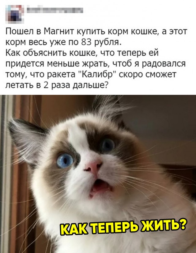 Дай дураку лобзик