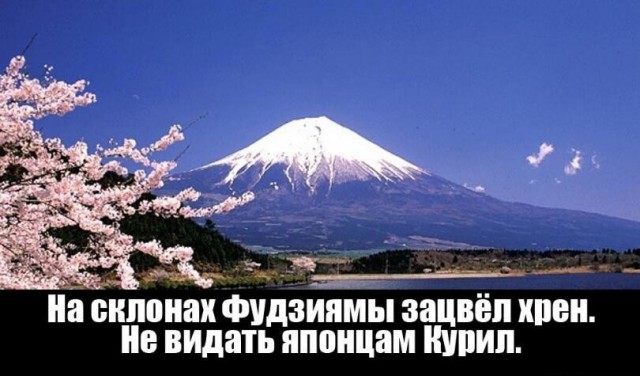 Последняя новость о Курилах