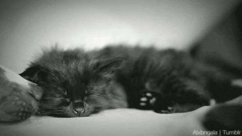 Давай уже, соня, просыпайся!