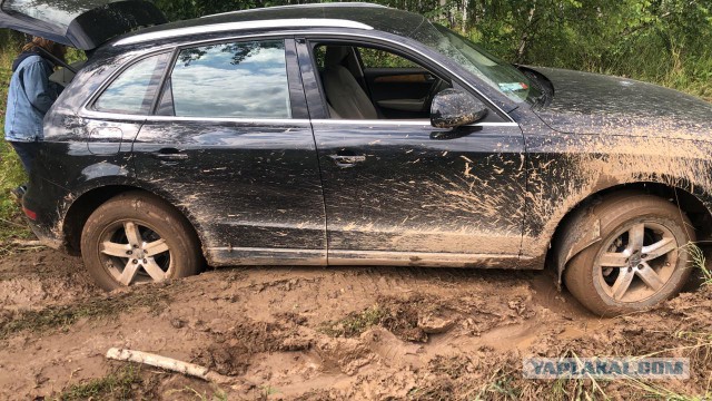 Съездил за грибами