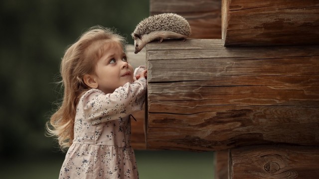 Что-то в деревню захотелось