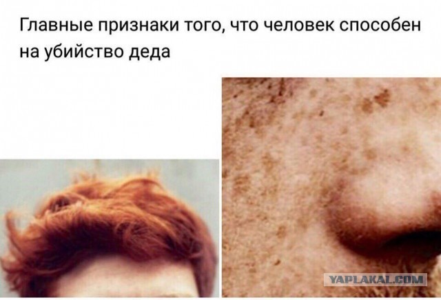 Обаятельные рыжули, которых в Средние века отправили бы на костер