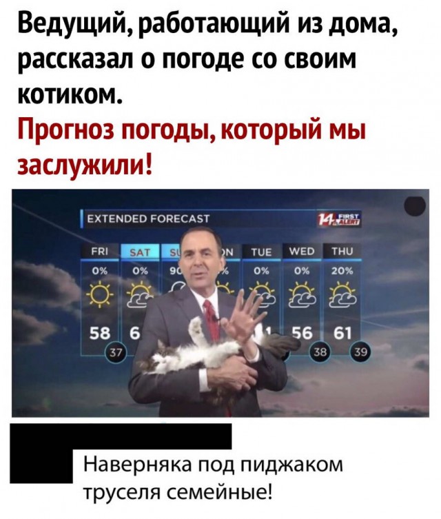 Бредзона 17.04.2020