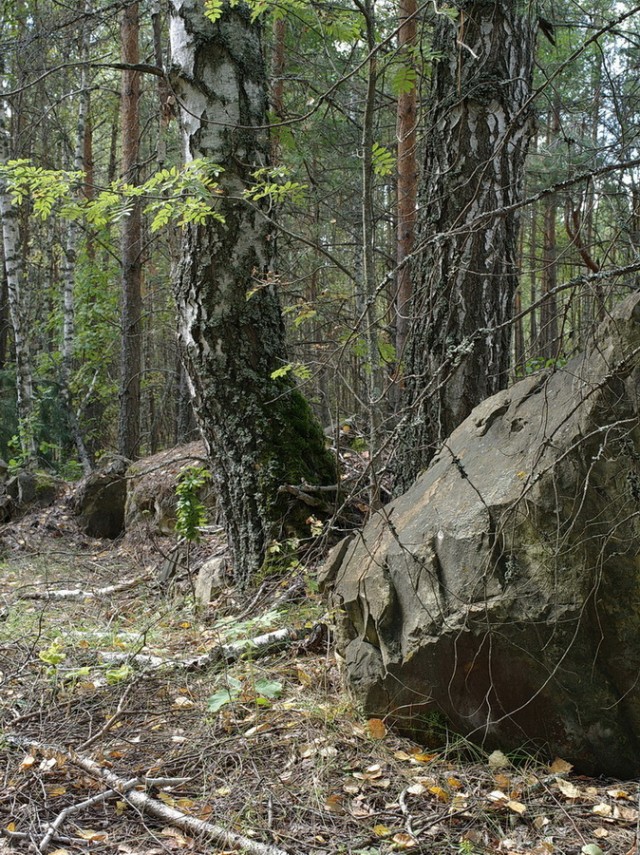 Поездка за лутом
