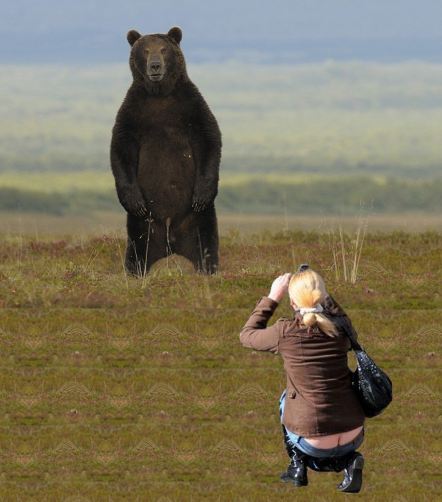 "Смелый" мишка