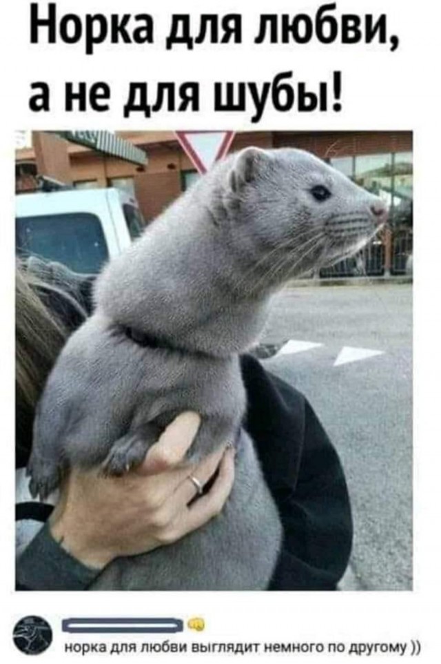 Бредзона 19.12.20