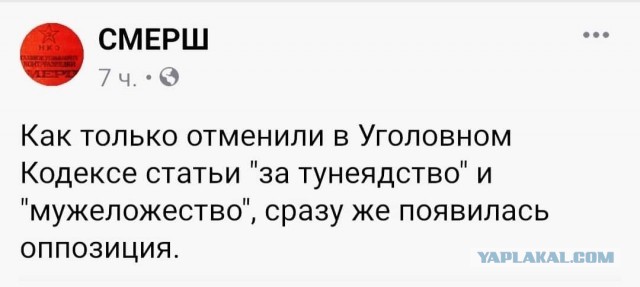 Невзоров отказался извиняться за слова о Космодемьянской
