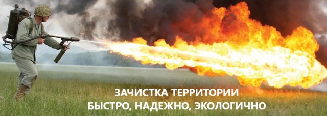 Ирландские цыгане расположились в богатом пригороде Лондона, где дома стоят по £2 млн