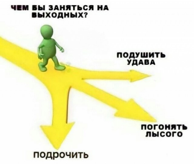 Весёлый полтишок 29.07