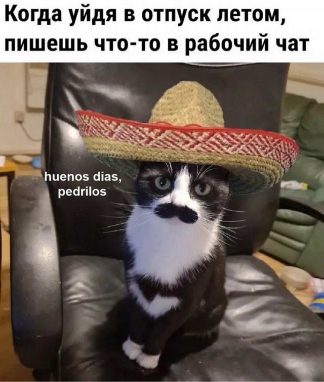 Картинки и мемы для настроения 03.08.2021