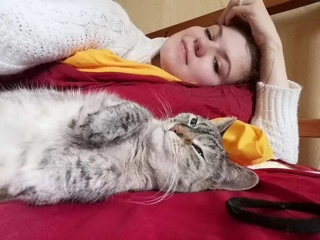 Девушки котовторника