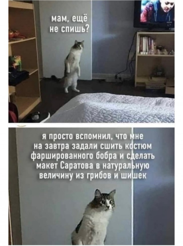 Так себе картинки 25.10.21
