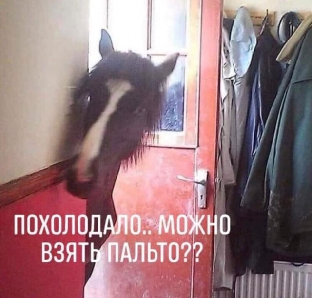 Делайте выводы