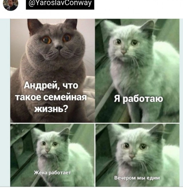 Мужик сказали мужик сделал - это два разных мужика