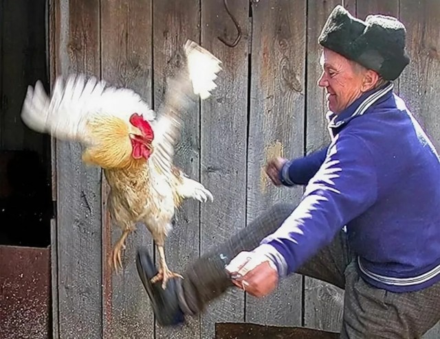 Бл*ть. Что за ху*ня?