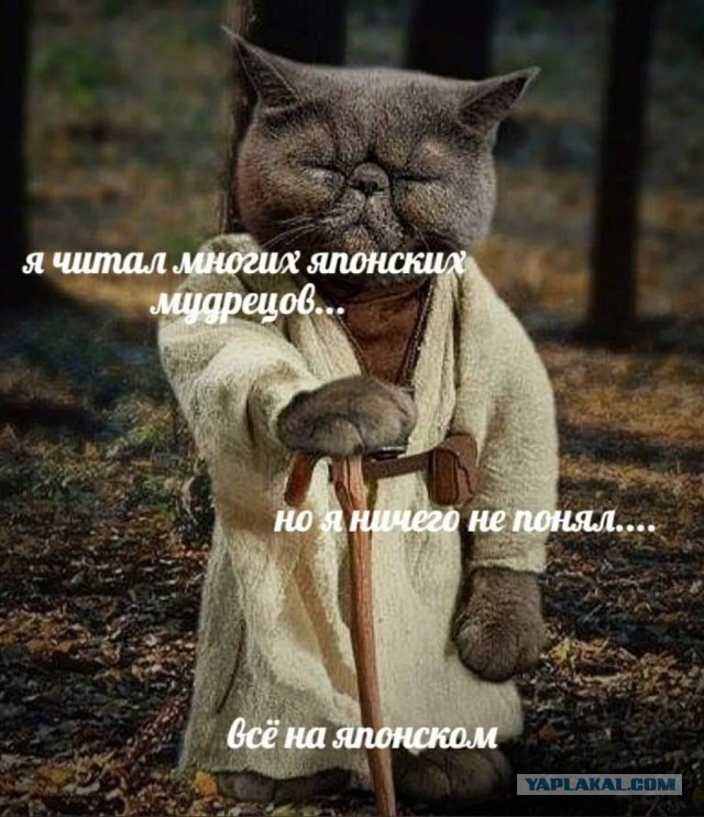 "Веселее, вы в хоккее! “