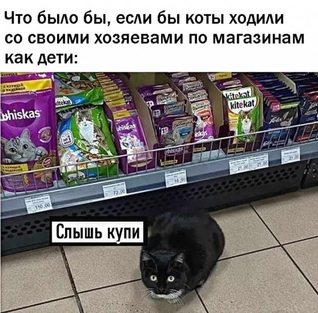 Картинки с надписями и всякие жизненные фразы
