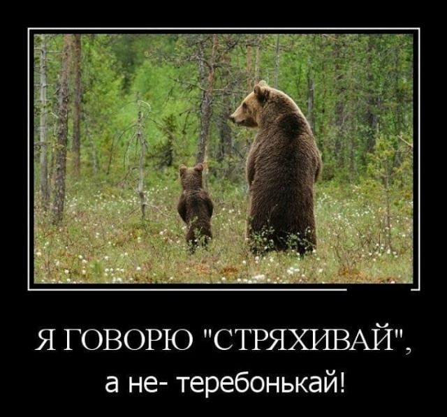 Юмор в картинках и без