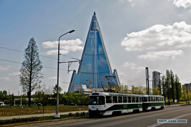 Северная Корея "в цвете"