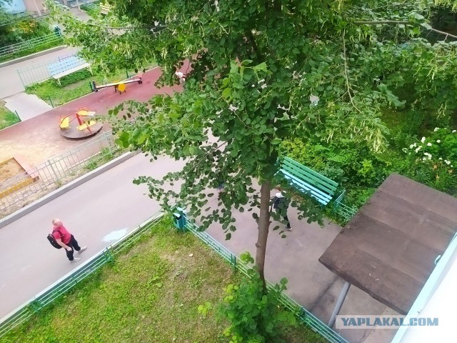 Попросил жену связать яркий свитер