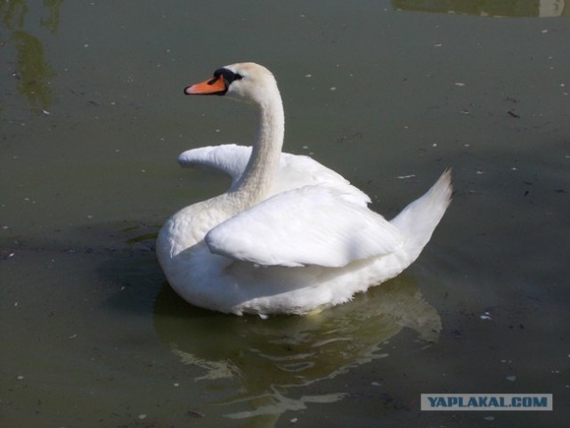 Велопутешествие по Крыму