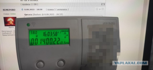 От россиянки потребовали 127 млн рублей за подключение к электросети