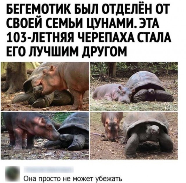 Картинки и мемы, всем хороших выходных