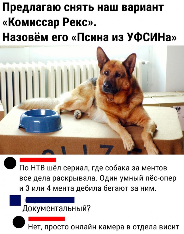 Так себе картинки 28.09.22