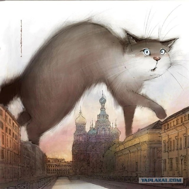 Три Кото-истории