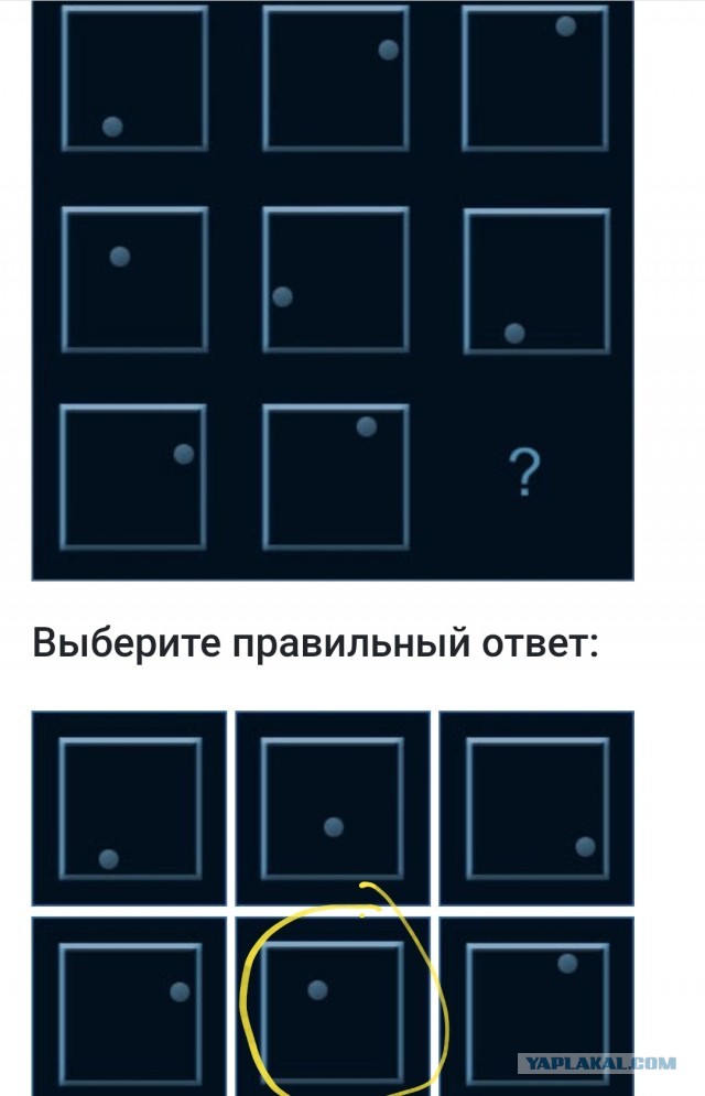 А какой у Вас IQ?