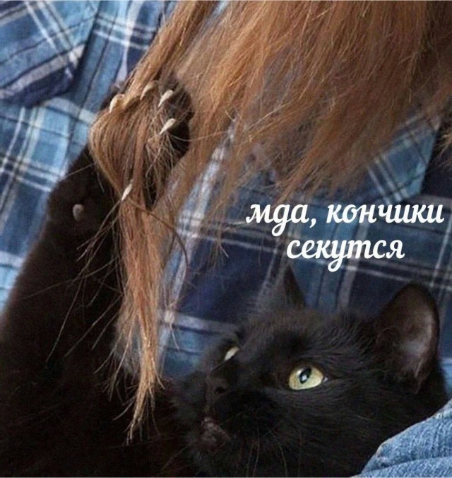 Картинки аморальные и всякие разные - 48