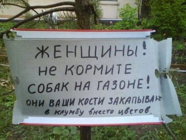 Мемасы из мемори