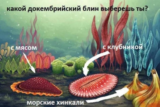Так себе картинки 17.08.23
