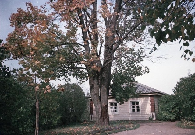 Редкие кадры и архивные снимки 08.11.23