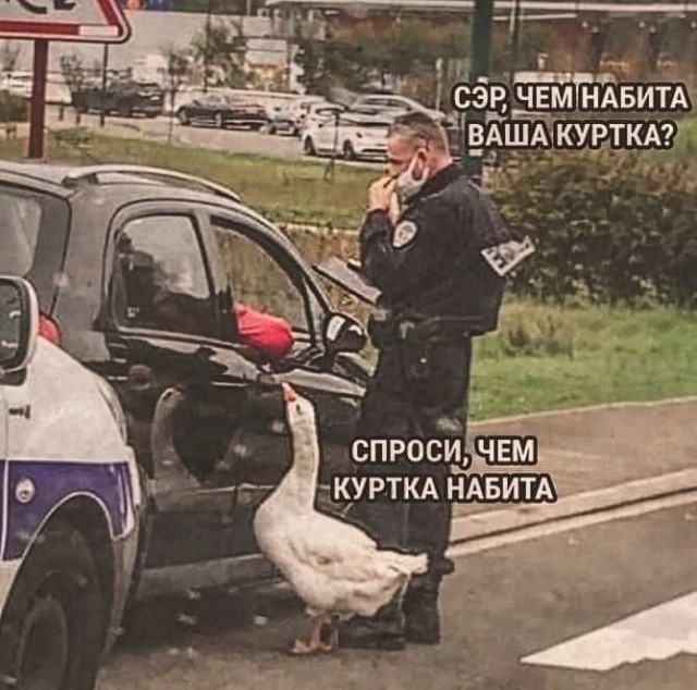 Дополнение к посту про гусей. Не зашло мне то, что написала в телефоне, решила развернуть тему