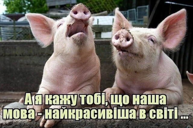 Одесситке часто делают замечания, когда она говорит по-русски в общественных местах в родном городе.